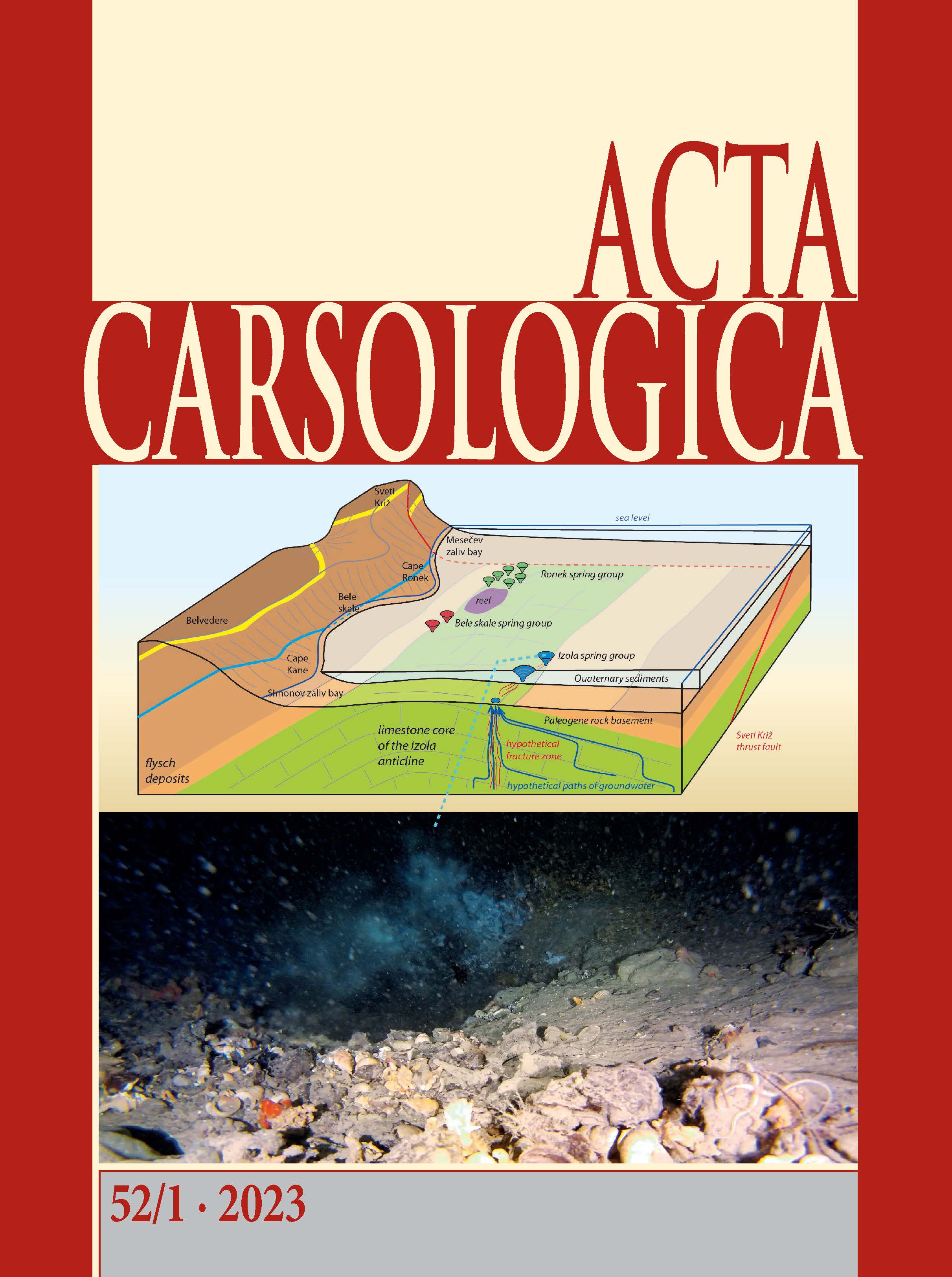 Acta platnica